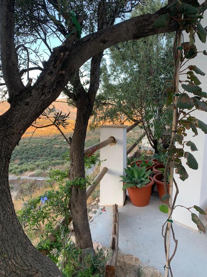 Cortijo Samadhi Pensionat Lanjarón Exteriör bild