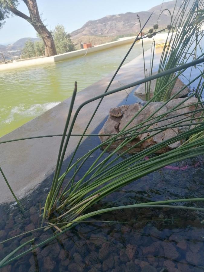 Cortijo Samadhi Pensionat Lanjarón Exteriör bild